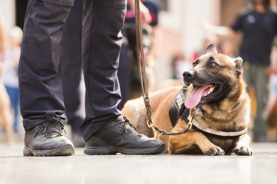 Teixeiro tendrá una unidad canina propia para evitar las drogas