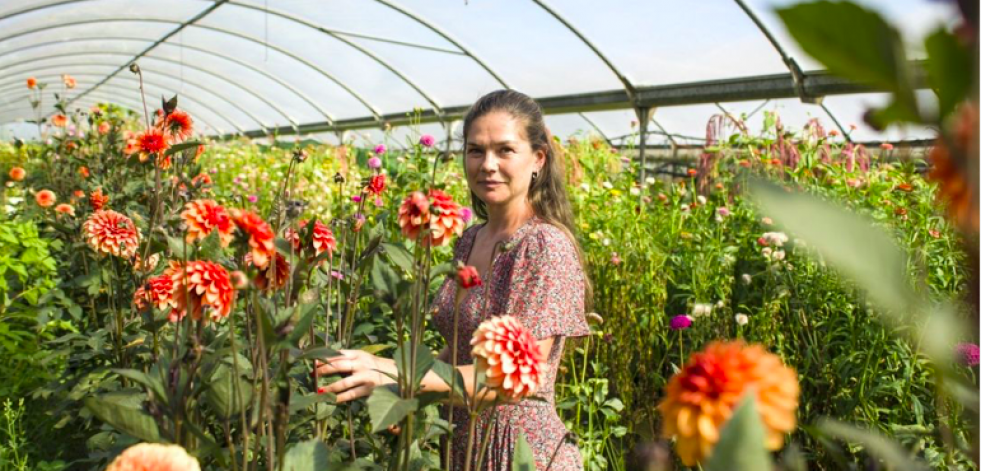Floradeira, flores de temporada online desde Galicia a tu casa