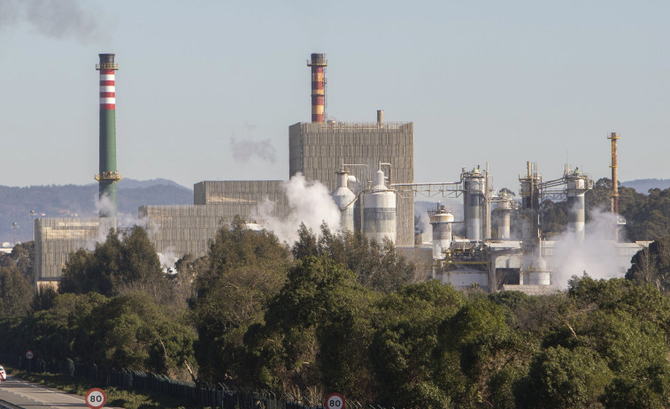 El Supremo da la razón a Ence y avala su continuidad en la Ría de Pontevedra