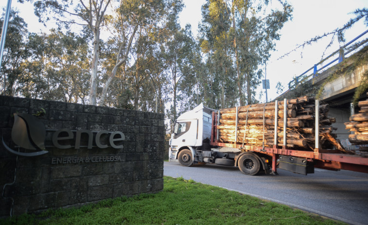 Ence invertirá en su fábrica de Pontevedra más de 130 millones en diez años