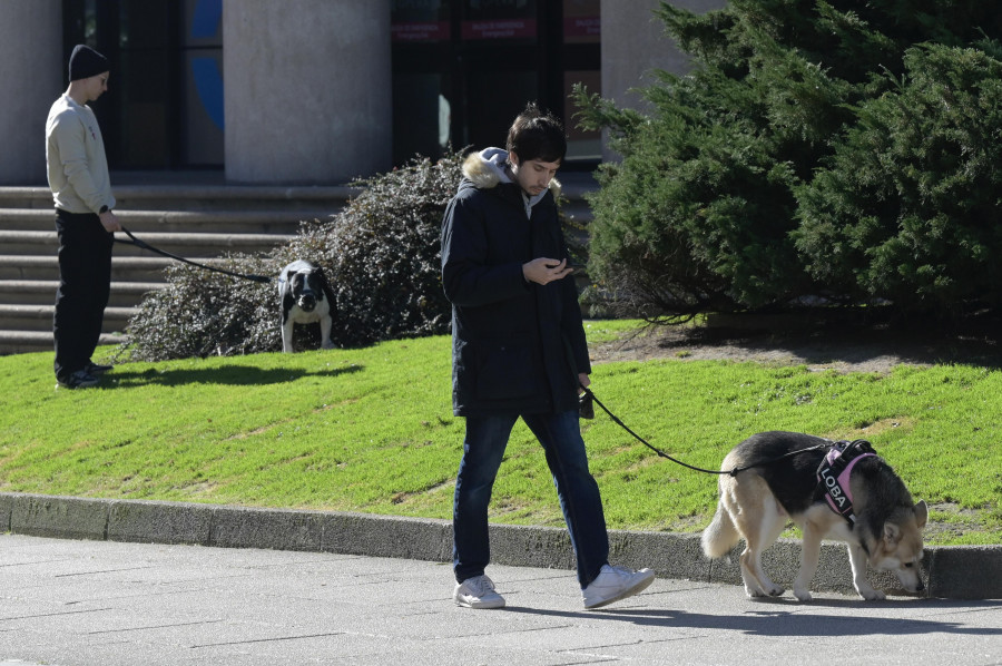 En suspenso la ordenanza que obliga  a limpiar los orines de las mascotas