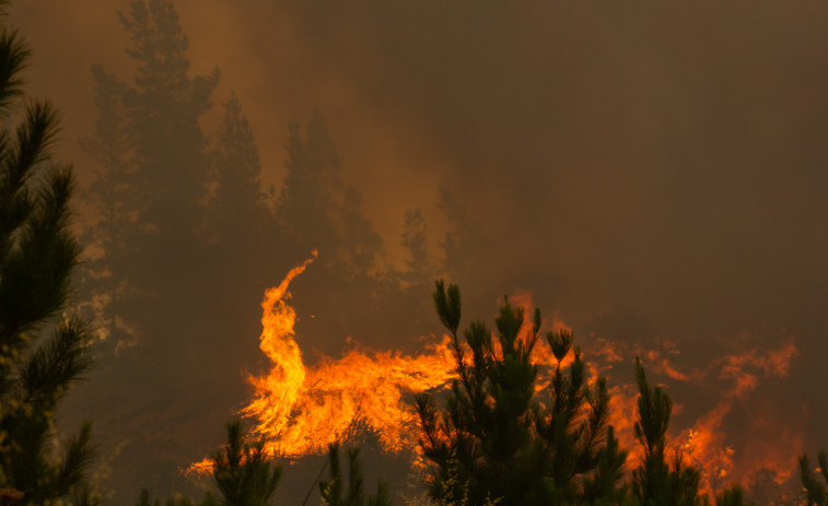 Controlado el incendio forestal de A Gudiña tras calcinar 24 hectáreas