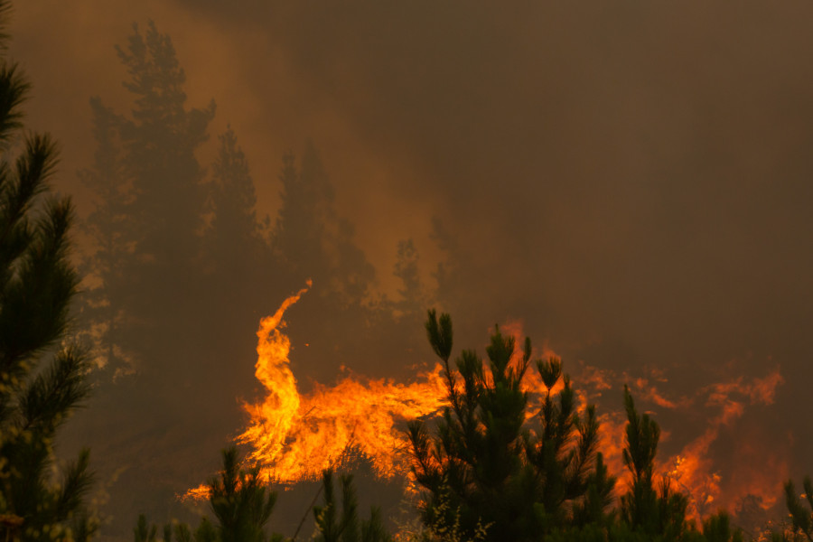 Controlado el incendio forestal de A Gudiña tras calcinar 24 hectáreas