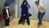 La terapia con perros puede moderar el dolor en el cáncer infantil en un 30 %