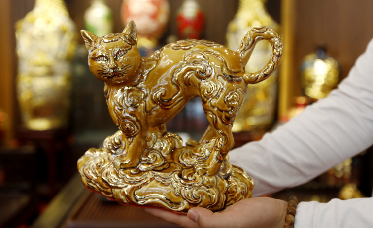 Descubren 2.000 gatos muertos para remedios medicinales en Vietnam