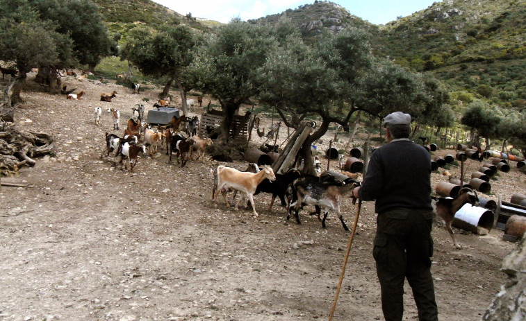 El campo envejece: el 41% de los dueños de tierra son mayores de 65 años