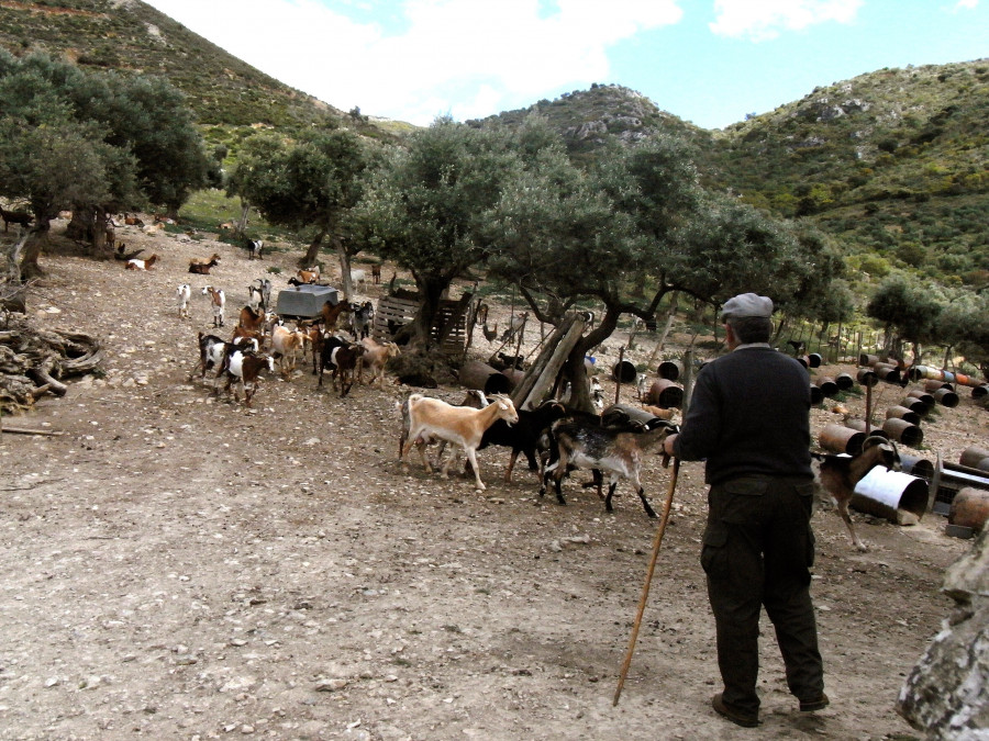 El campo envejece: el 41% de los dueños de tierra son mayores de 65 años