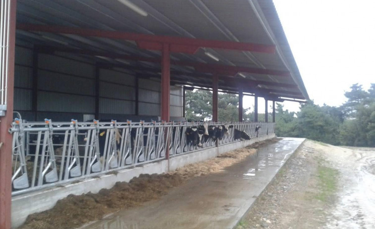 Agromuralla acusa a las industrias “de incumplir la ley” en la renovación de los contratos lácteos