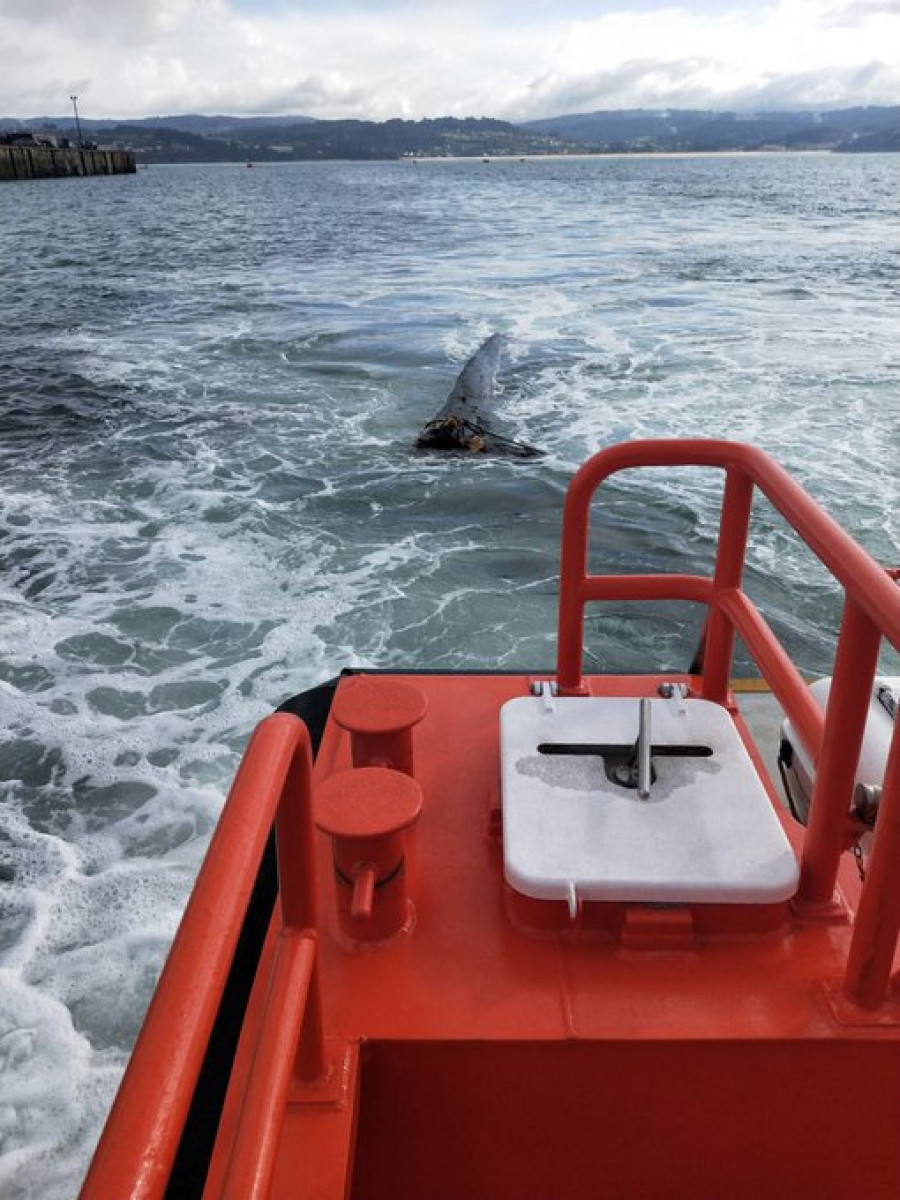 Un pesquero localiza un tronco de grandes dimensiones en aguas de Oleiros