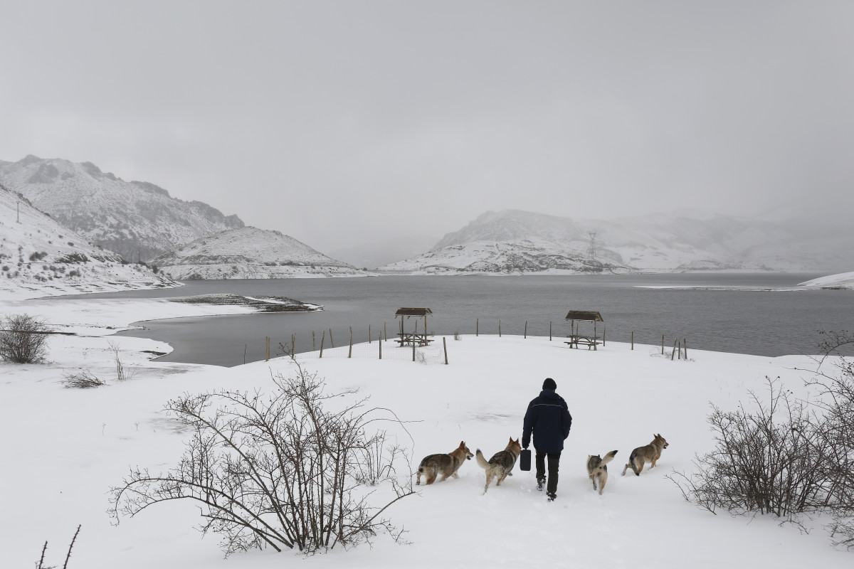 Nieve