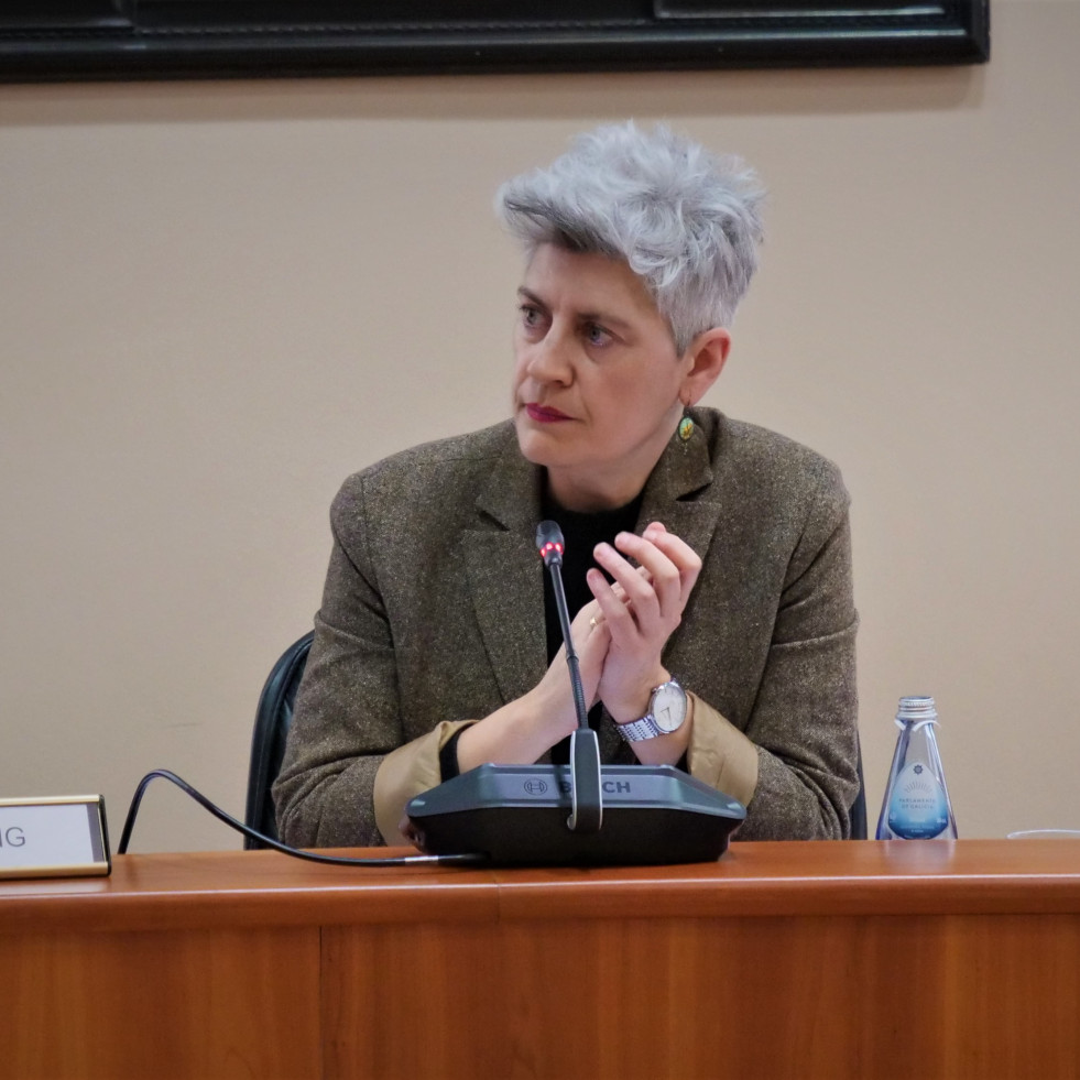 El BNG ruega a Inés Rey que convoque el consejo municipal de cultura
