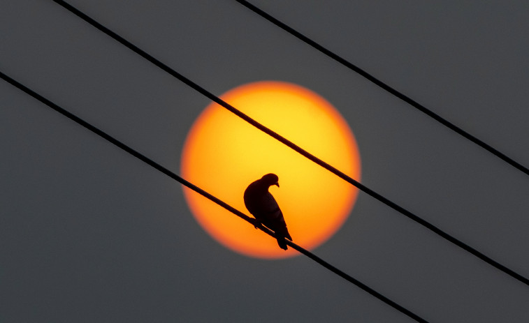 El precio de la luz este domingo sube y queda en 80 euros/MWh