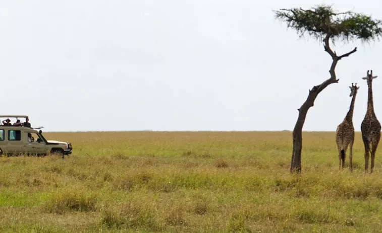 Mueren dos turistas europeos al volcar su vehículo en el Masai Mara