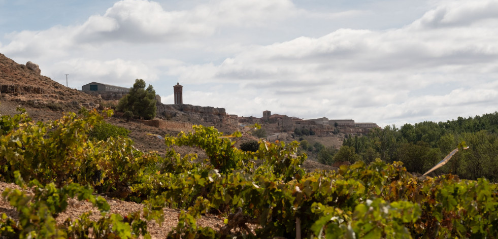La Celestina Crianza 2019 recibe 91 puntos en el último informe de Rober Parker sobre Ribera del Duero