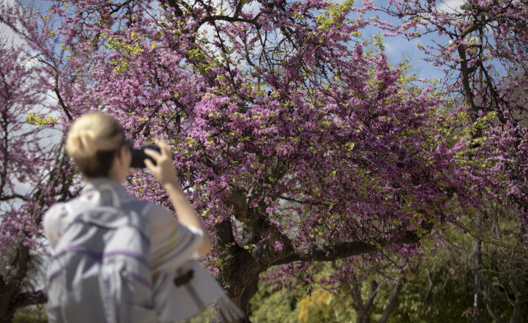 La primavera llega a Galicia el lunes 20 de marzo a las 22.24 horas