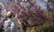 La primavera llega a Galicia el lunes 20 de marzo a las 22.24 horas