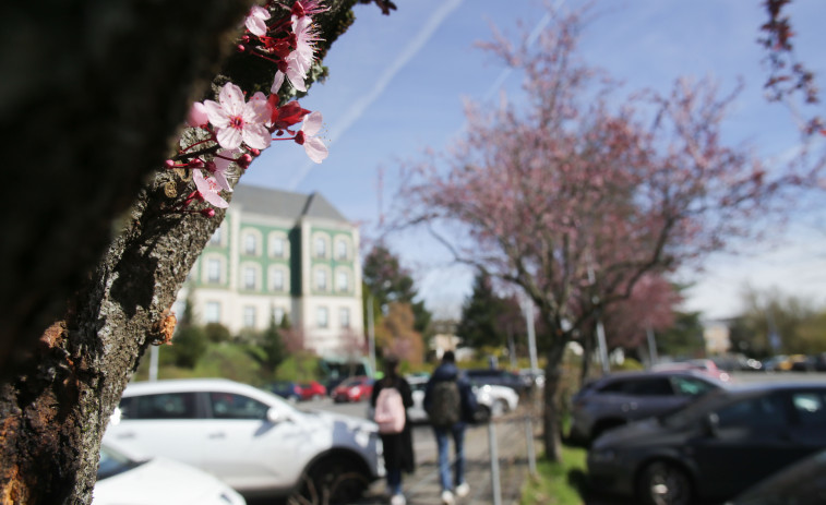 La primavera empieza este lunes, 20 de marzo, a las 22.24 horas