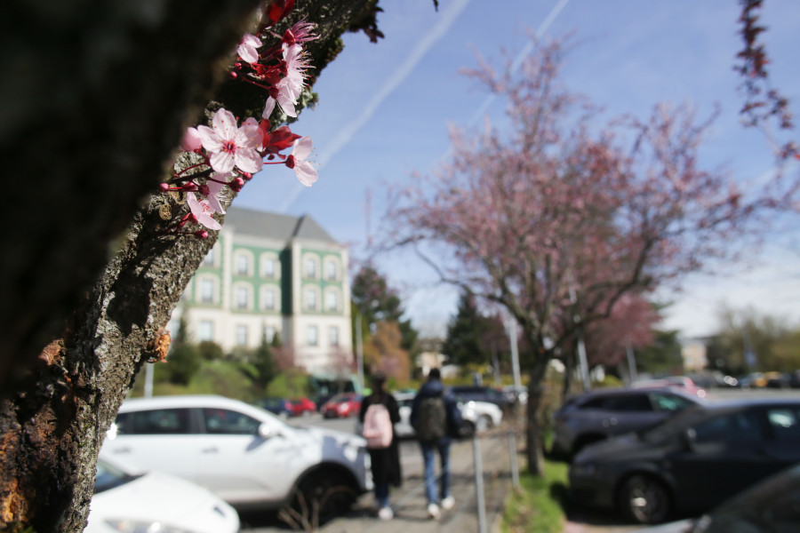 La primavera empieza este lunes, 20 de marzo, a las 22.24 horas