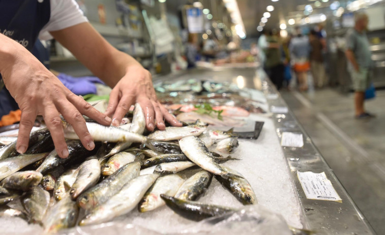 A Coruña recibe las primeras sardinas de la temporada