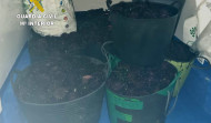 VÍDEO | La Guardia Civil decomisa 236 kilos de erizo de furtivismo en A Coruña