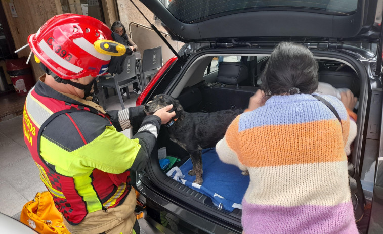 Los bomberos salvan a una cachorra que se cayó a un patio de luces de A Coruña
