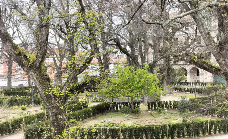 A Coruña cierra parques y jardines por el fuerte viento