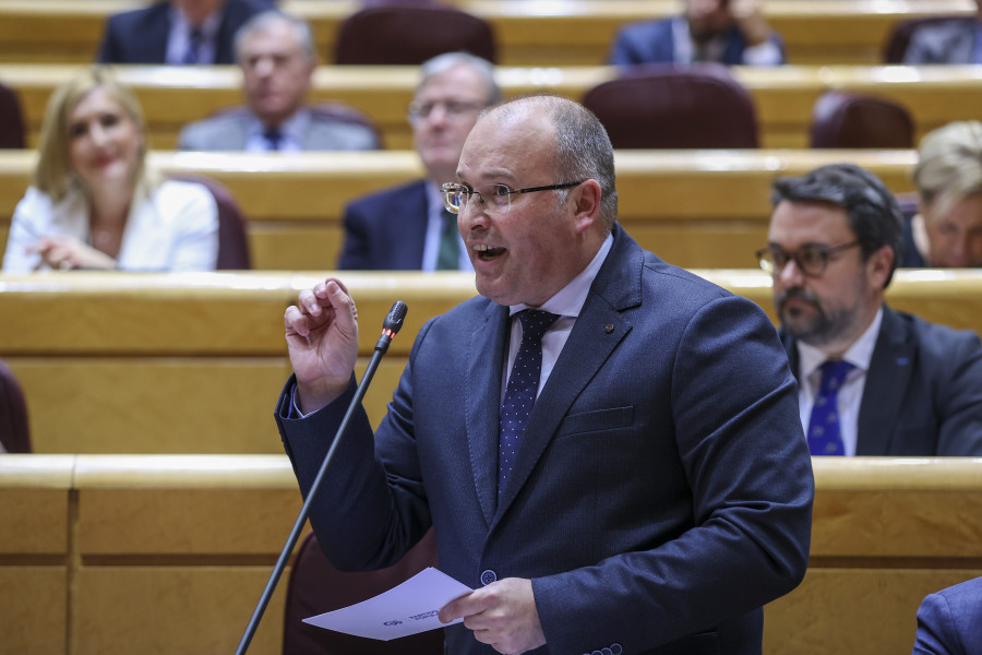 Miguel Tellado afirma que el PP suma mil afiliados al mes desde que Núñez Feijóo es el nuevo presidente
