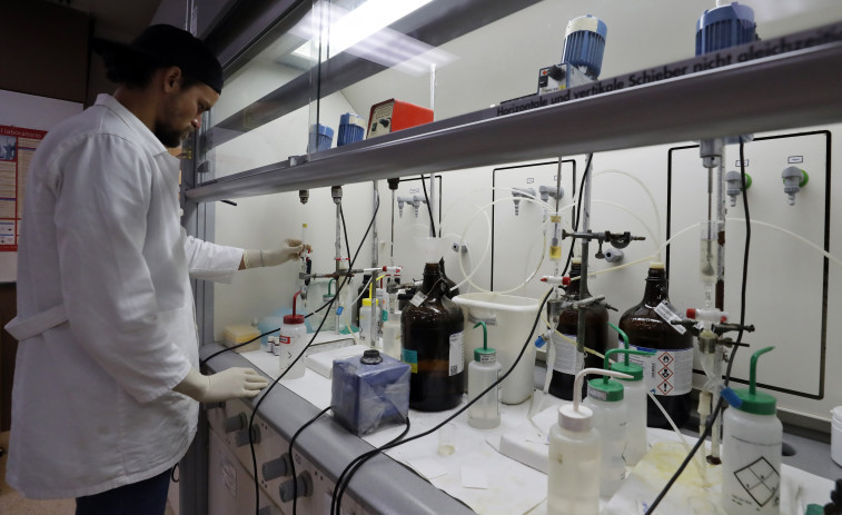 Los casos de dengue en Argentina crecen un 75 % en una semana