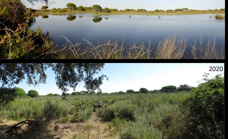 Alertan de que Doñana ha perdido la mitad de sus lagunas