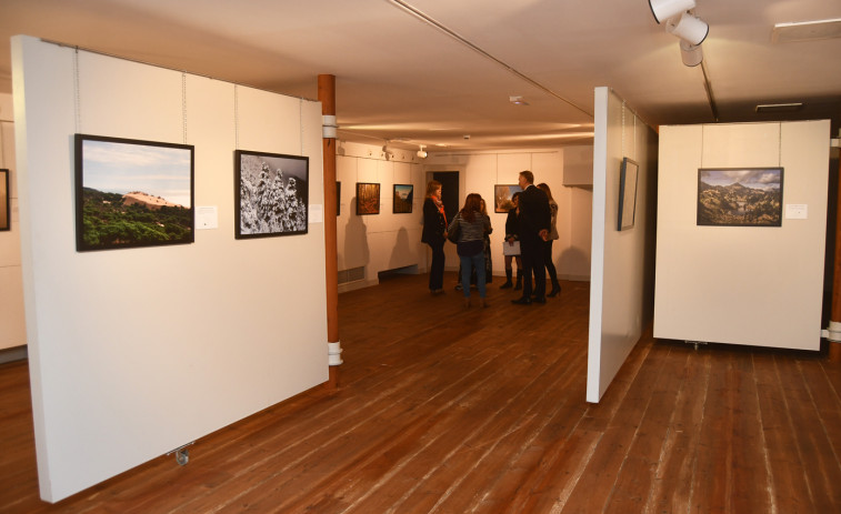 Afundación exhibe en Cambre una muestra sobre los bosques de España