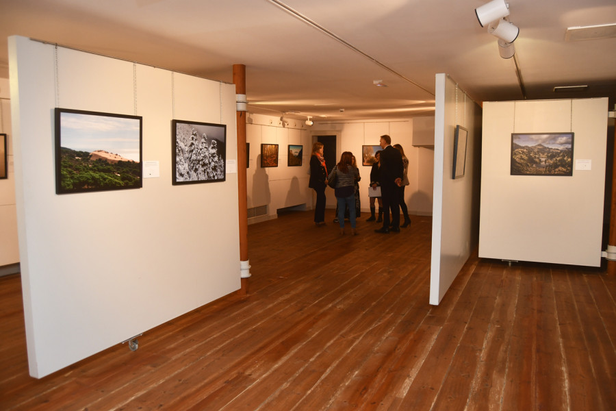 Afundación exhibe en Cambre una muestra sobre los bosques de España