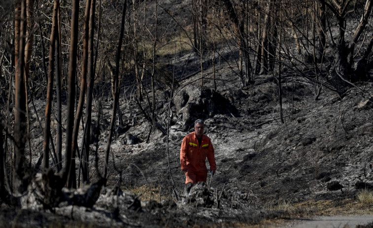 Los fuegos continúan arrasando Asturias y comienzan las denuncias contra  los incendiarios