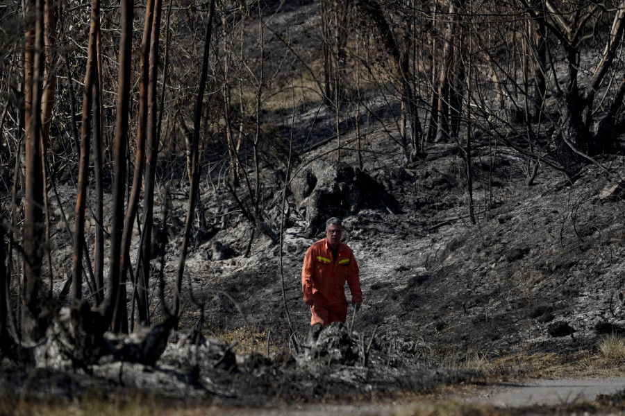 Los fuegos continúan arrasando Asturias y comienzan las denuncias contra  los incendiarios