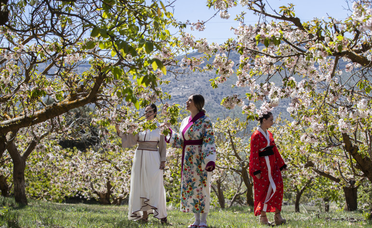 Un pueblo de Málaga se convierte en Japón gracias a sus cerezos en flor