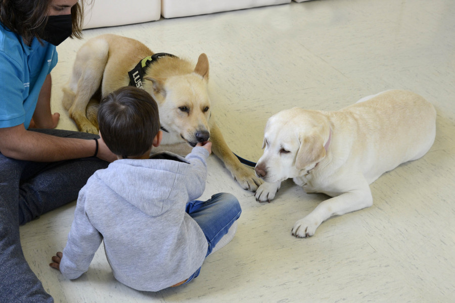Analizan los beneficios del uso de perros con menores ingresados en un estudio de la Fundación María José Jove