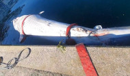 Aparece el cadáver de una ballena azul en la ría de Vigo