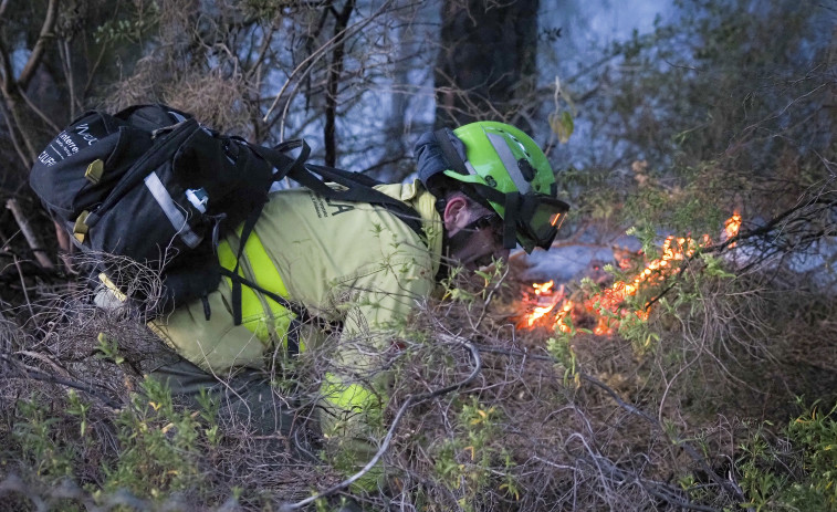 El Gobierno adelanta mes y medio el inicio de la campaña contra incendios forestales