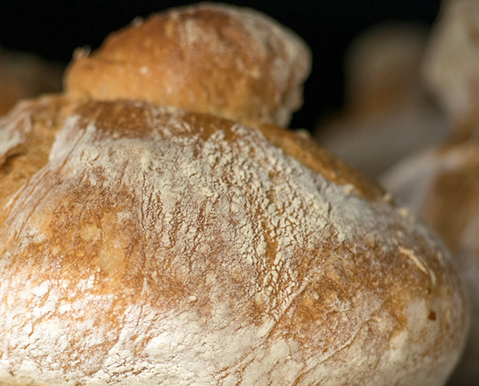 Pan da MOA