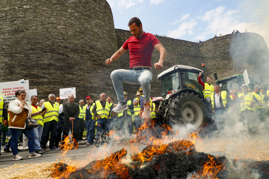 Decenas de ganaderos protestan en Lugo por su situación