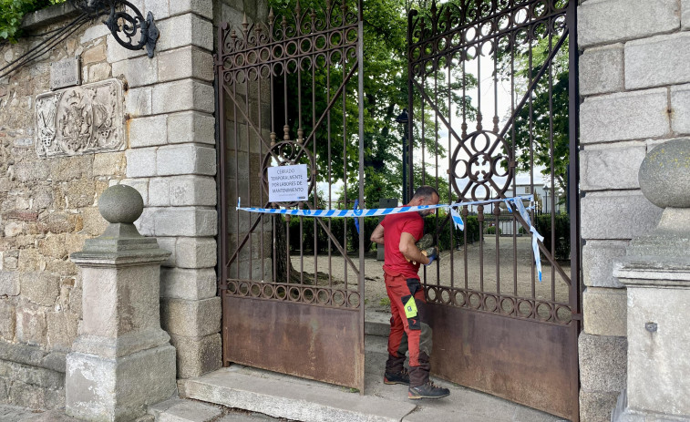 El Ayuntamiento pretende emplear un fungicida para tratar de salvar  los olmos de San Carlos