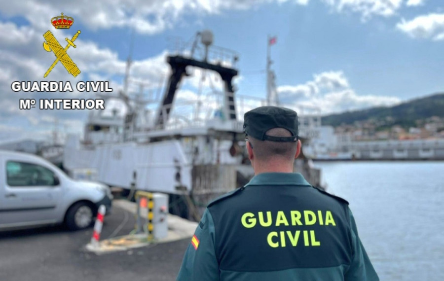 Intervenidos 850 kilos de pescado sin documentar en el Puerto de Marín