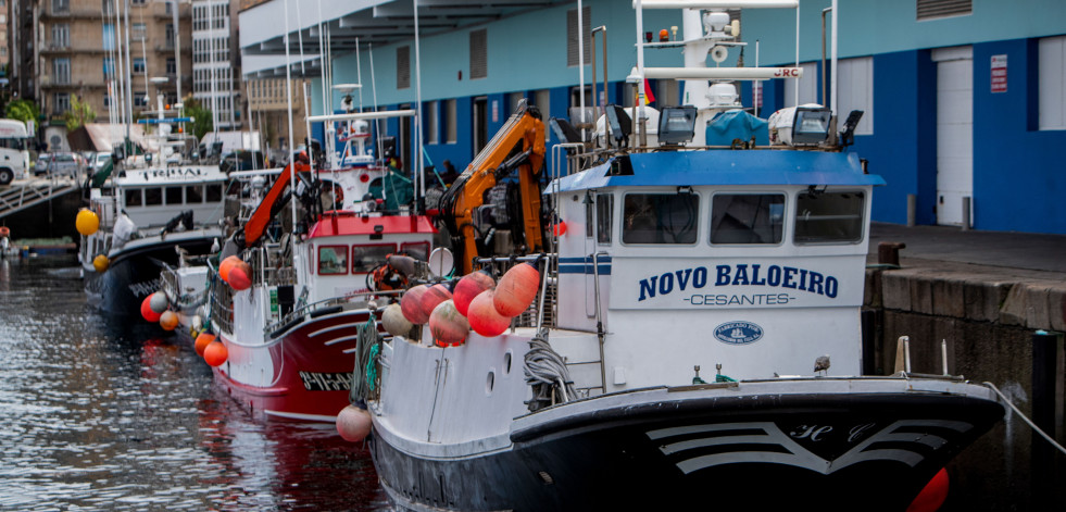 Planas defiende la pesca de arrastre de fondo y contradice así el plan de la Unión Europea
