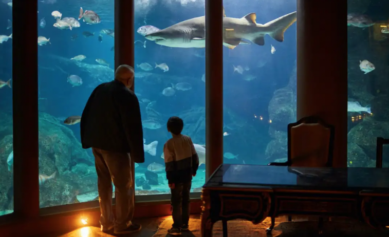 El Aquarium de A Coruña organiza este fin de semana un taller sobre biodiversidad con animales vivos