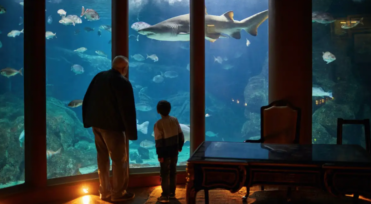 Aquarium Finisterrae