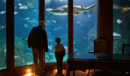 El Aquarium Finisterrae celebra sus 24 años con actividades sobre medioambiente