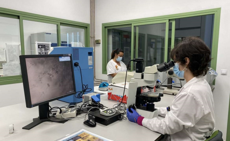 Detectan un pico de alérgicos que acuden por primera vez a urgencias