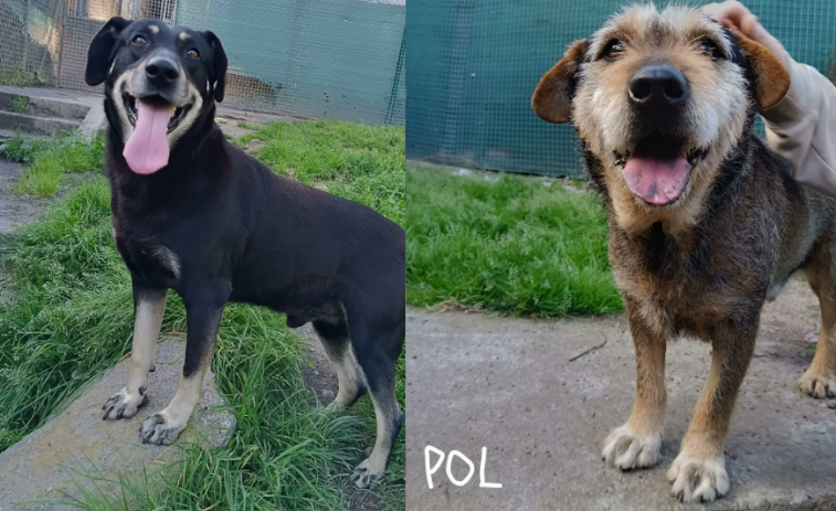 Rex y Pol, dos abueletes que quieren pasar de sobrevivir en una nave a tener un hogar