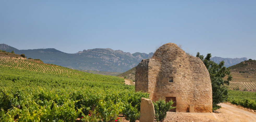 Viñedos y Bodegas Sierra Cantabria deposita su confianza en Hijos de Rivera para la comercialización de sus vinos en Galicia y Portugal