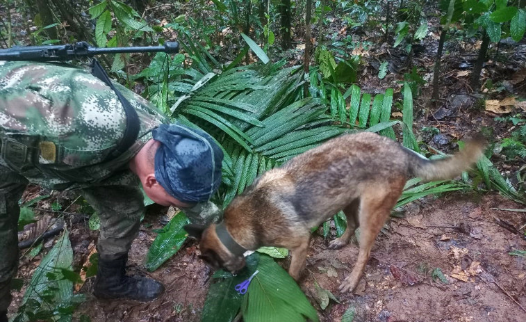 Mensajes y kits alimentarios para acelerar el rescate de los niños perdidos en Colombia