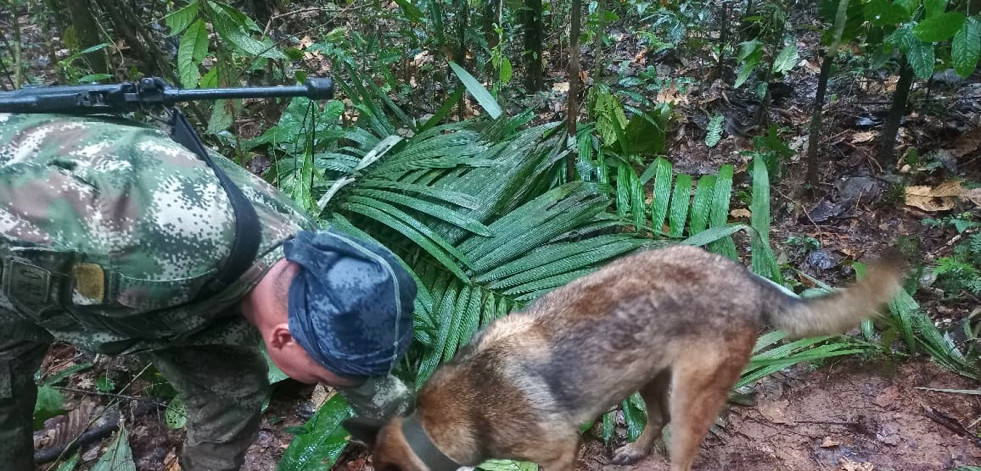 Mensajes y kits alimentarios para acelerar el rescate de los niños perdidos en Colombia